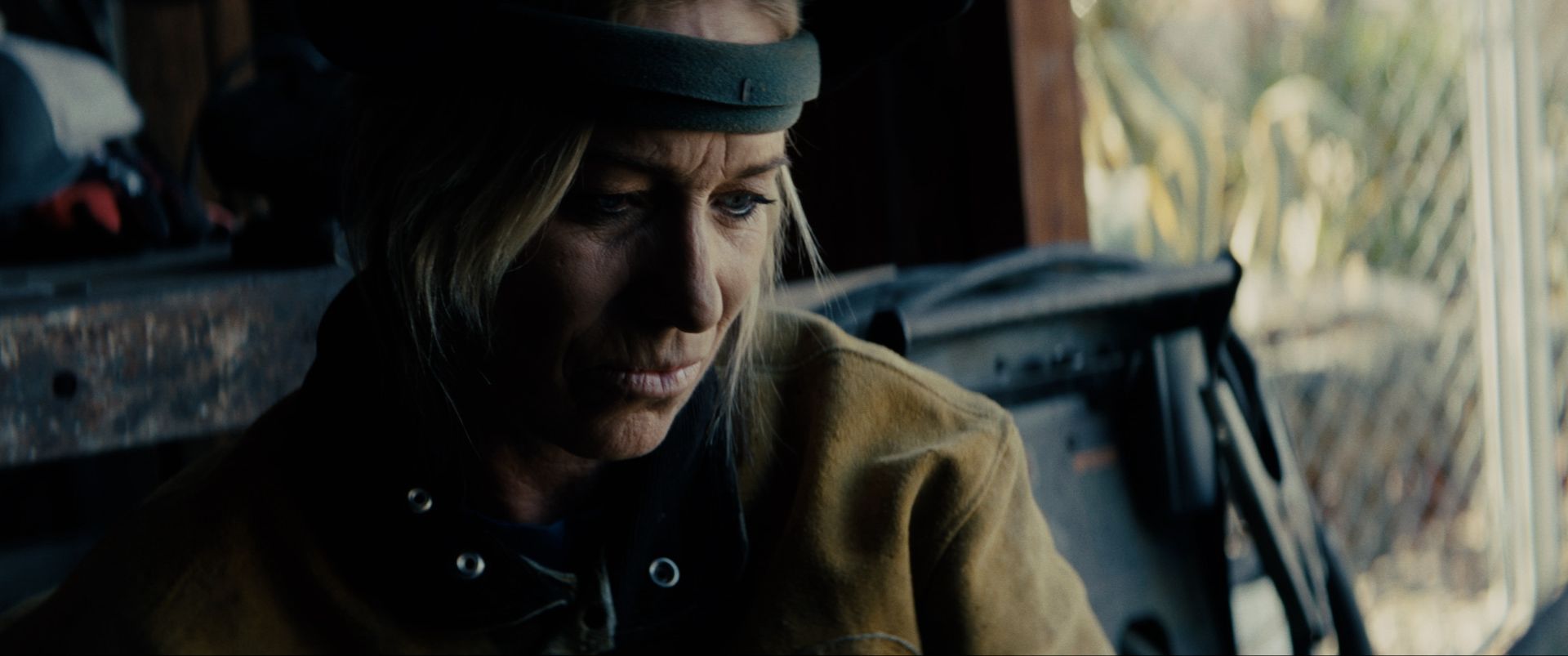 Redwing: Shelly Abbott