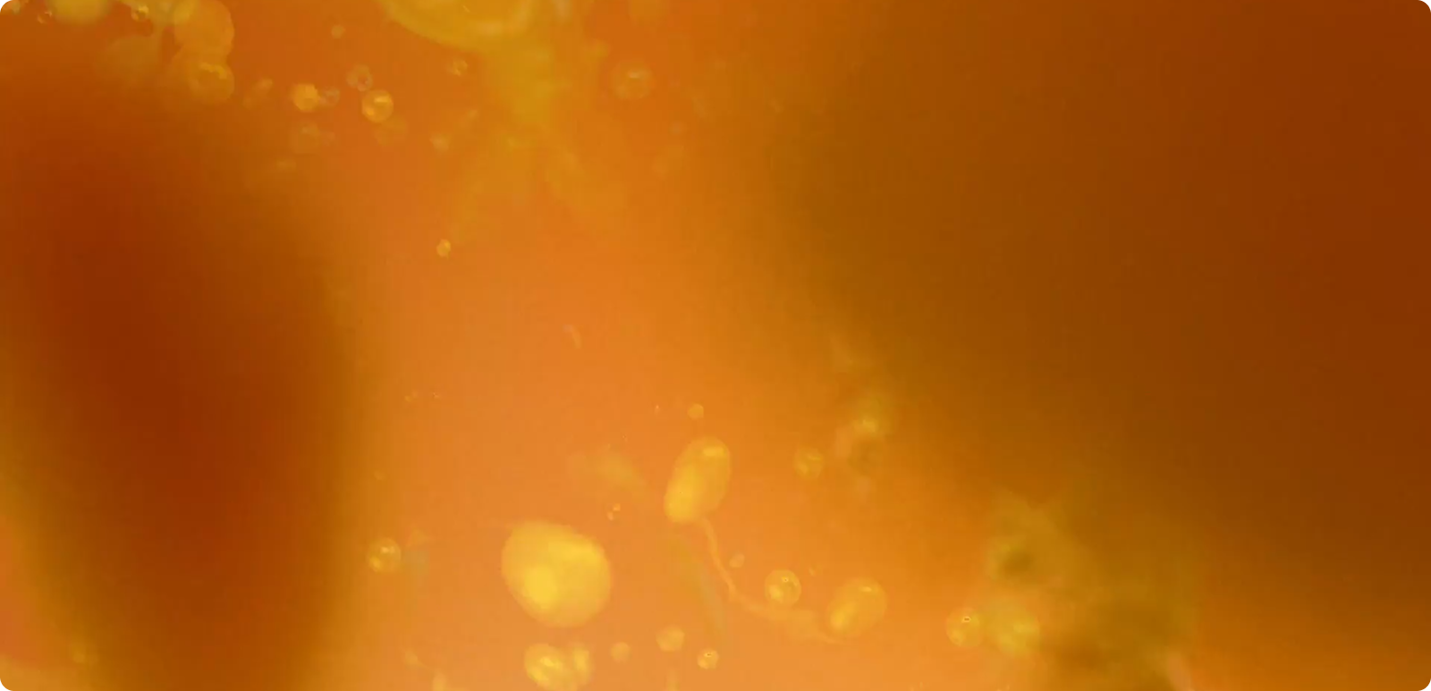 Abstract amber-orange background with glowing yellow particles.