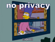 Users have no privacy when it comes to digital marketing