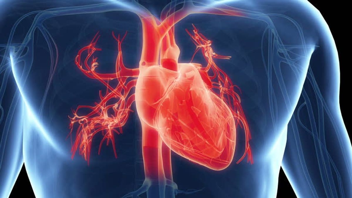 Heartify: Investigation on Cardiovascular Risk Prediction Using Physiological Parameters