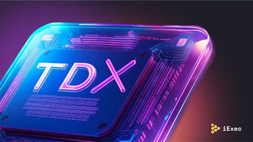 Cover image for "Making Privacy effortless with Intel TDX and iExec"