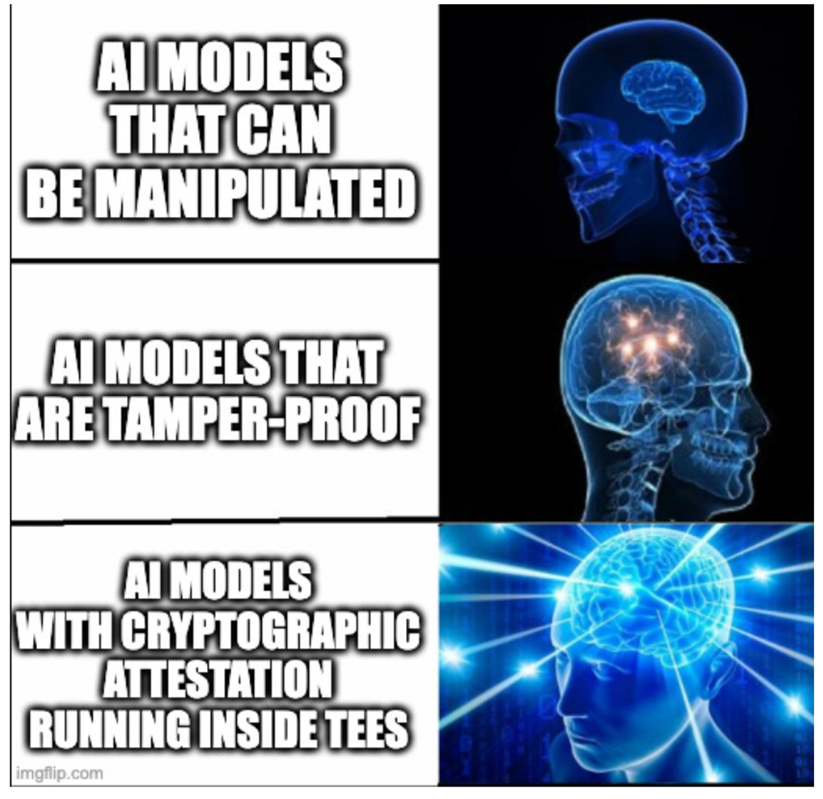 Ensuring AI Model Integrity and Trustworthiness