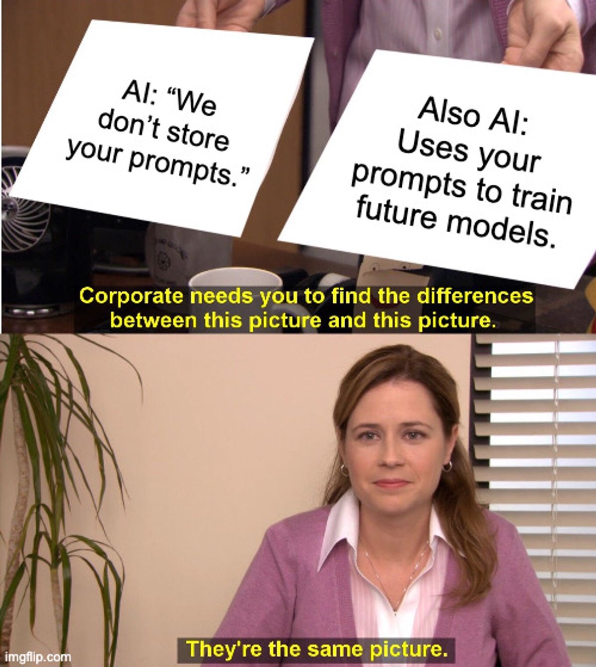 LLM Providers Collecting and Using Your Prompts