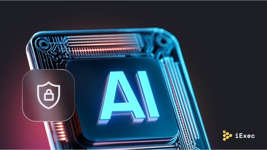 Cover image for "AI Privacy Risks or How to Protect Personal Data in AI Systems"