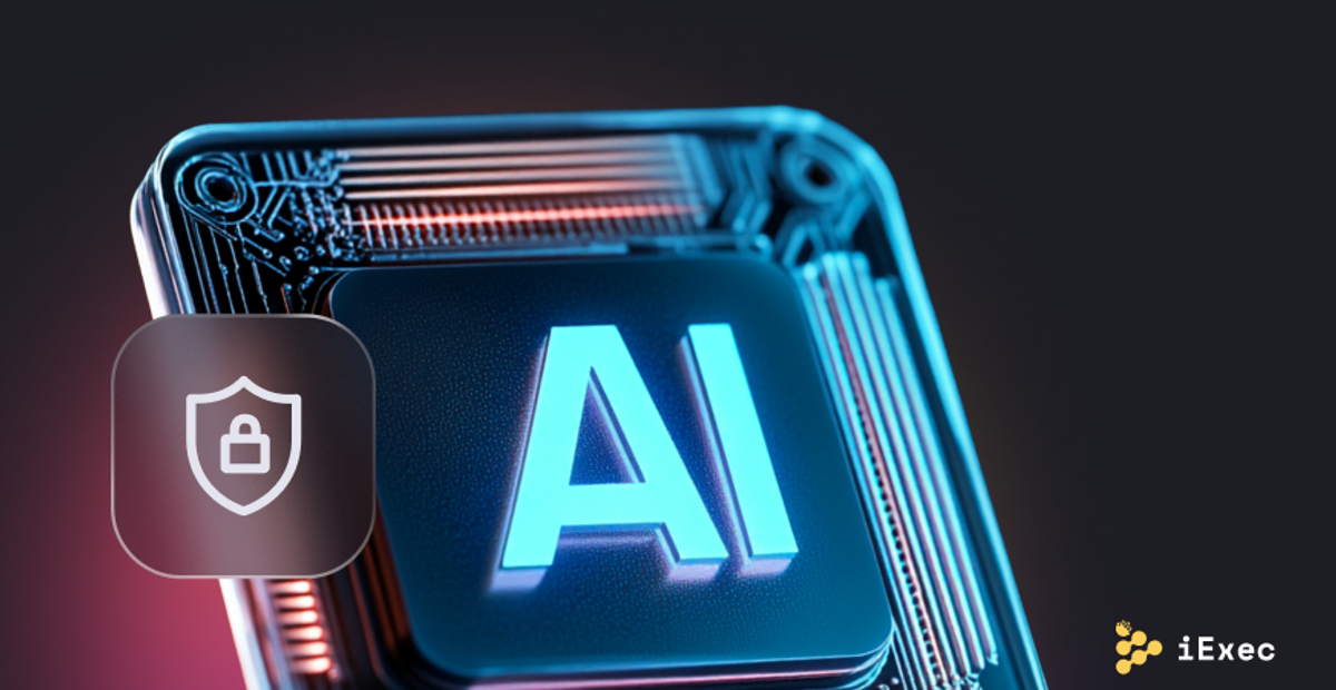Cover image for "AI Privacy Risks or How to Protect Personal Data in AI Systems"
