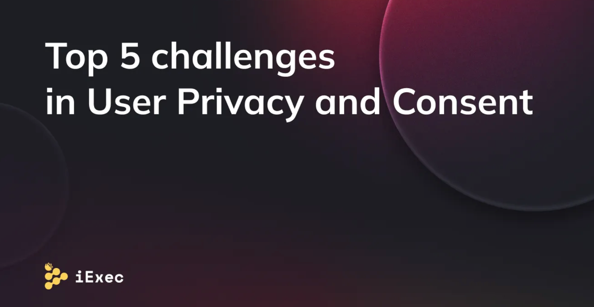Cover image for "User Privacy and Consent in Marketing: Top 5 Challenges"