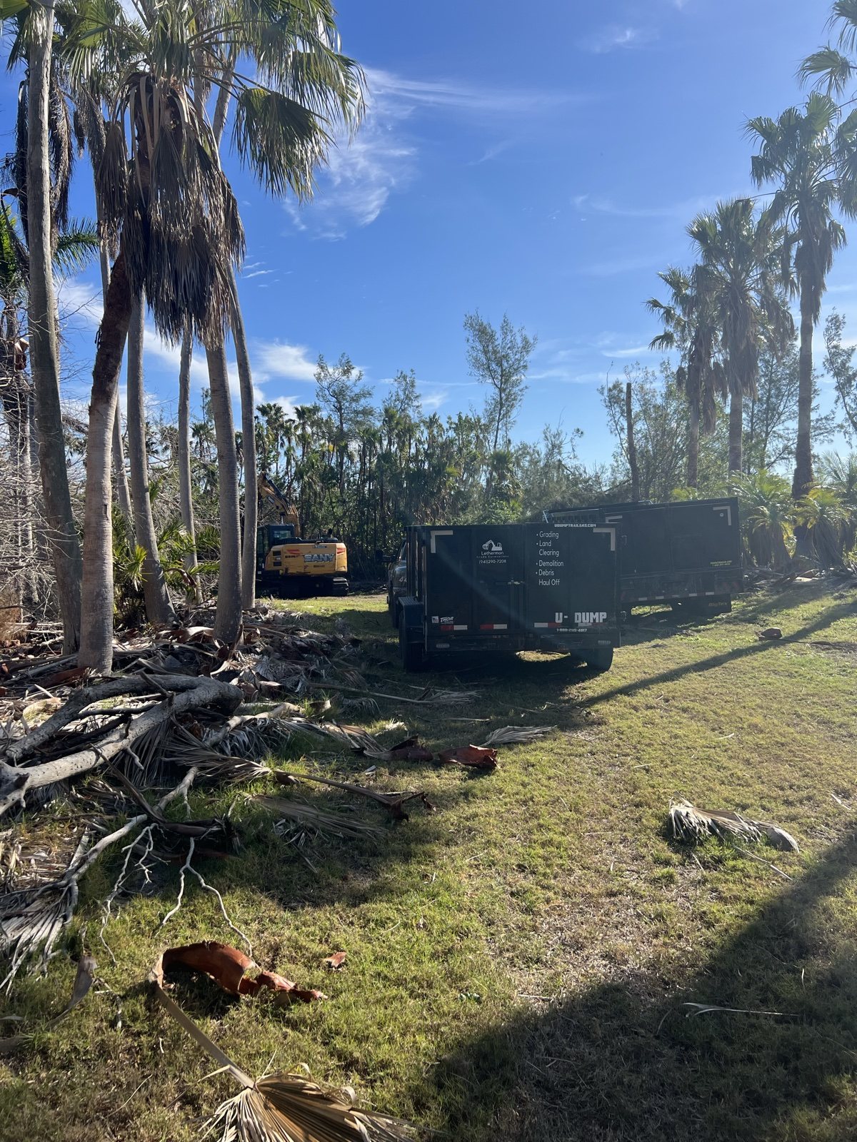 Gopher Tortoises and Land Clearing in Bradenton, FL
