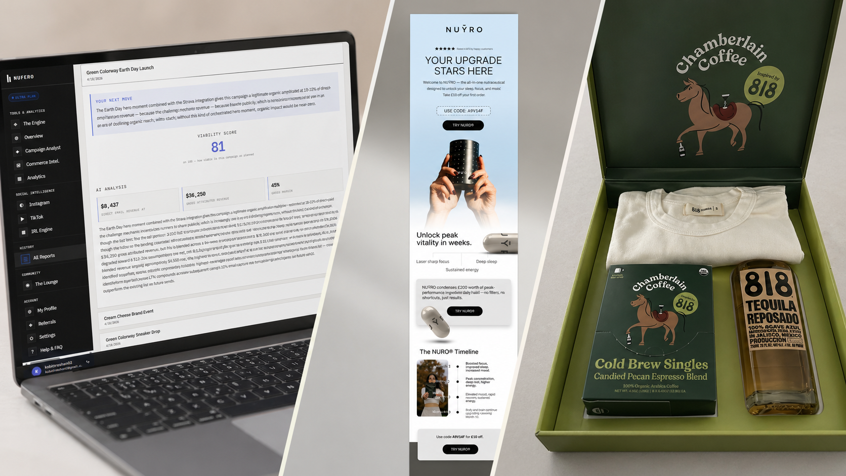 Customer Activation Playbook: 7 Campaigns That Drive LTV