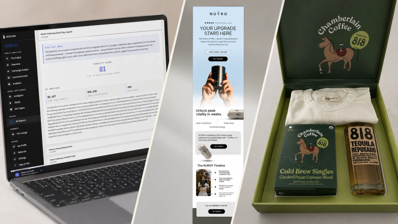Customer Activation Playbook: 7 Campaigns That Drive LTV