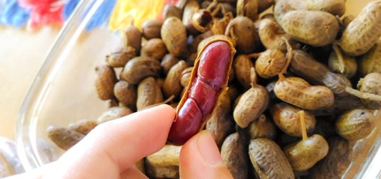 a person is holding a red boiled peanut cut open.