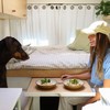 girl sharing dinner with her dog