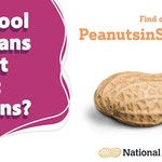 Do school food bans prevent allergic reactions?