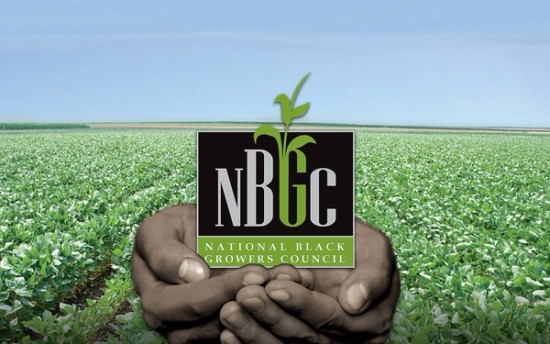 NPB Engages Growers at 2025 National Black Growers Council Annual Meeting