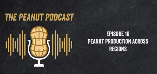 Poster of the Episode 10 of The Peanut Podcast. 