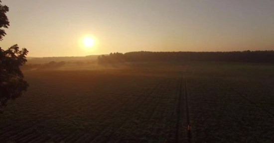 Aerial view of a field at sunrise.