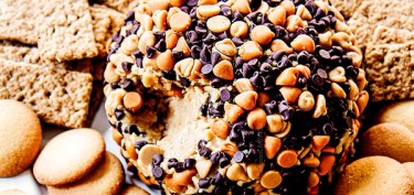 a large ball of cream cheese coated in peanuts and chocolate chips.