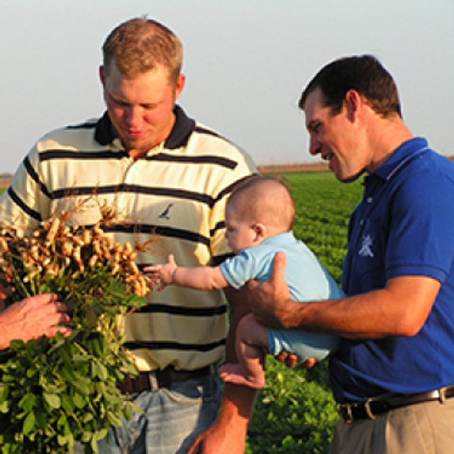 An adult man with dark hair wearing a blue shirt holding a baby. On his side a blonde man holds a bunch of peanuts still attached to the roots