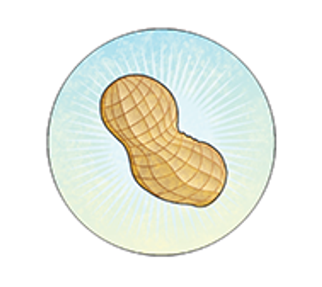 Illustration of a unshelled peanuts with light rays coming out of it.