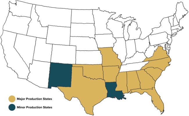 United States map with major and minor peanut production states highlighted