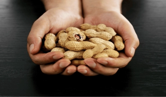 Peanut Industry Welcomes New Leaders in Marketing and Advocacy 