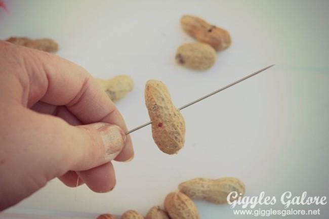 needle poking through a peanut