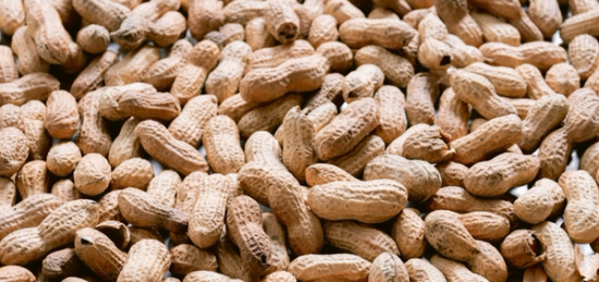 A pile of unshelled peanuts.