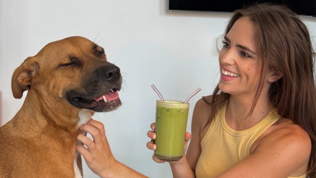 green pooch smoothie