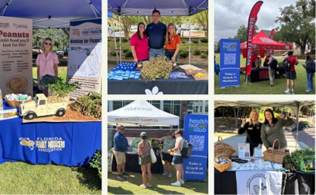 Health Nut Club Tour