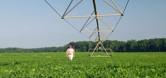a man standing in a field under a irrigation line.