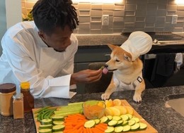 a man cooking with his dog