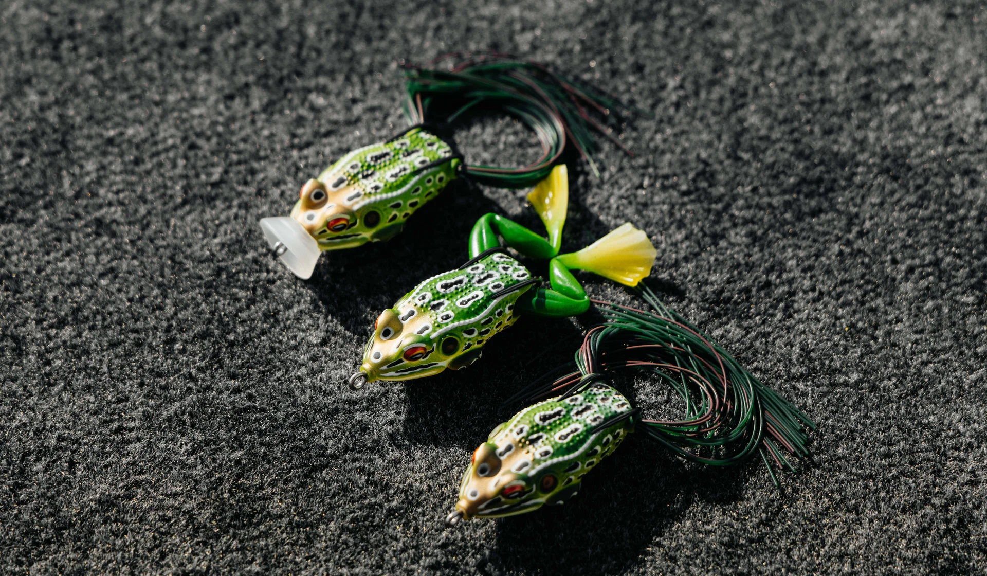 NEW FROGS NOW AVAILABLE