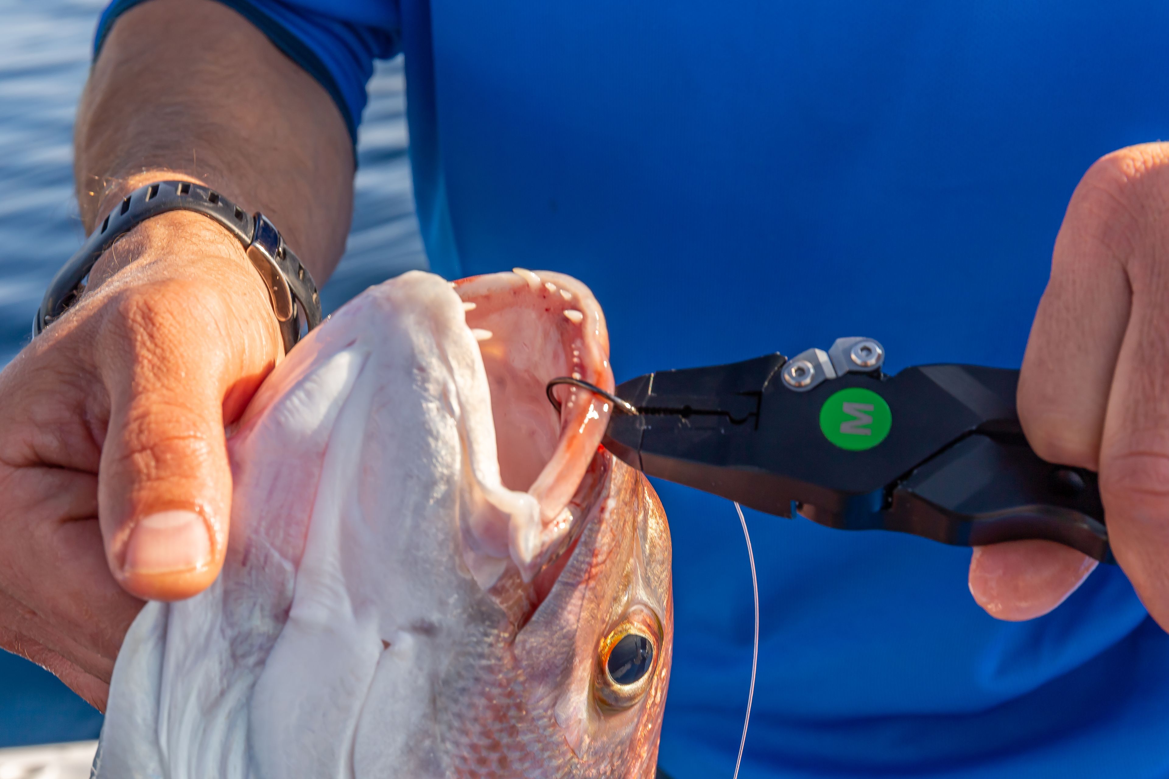 Front Page Mustad Fishing