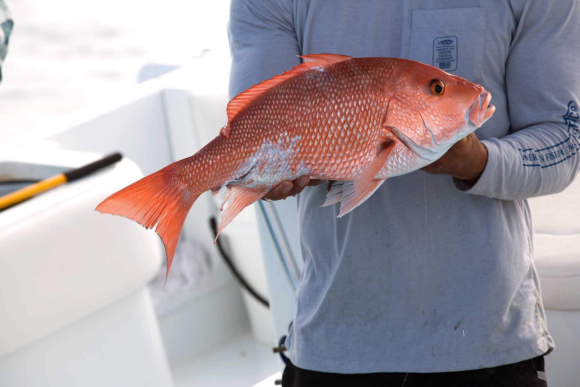 A Guide To Fishing In The Gulf Of Mexico | Mustad Fishing