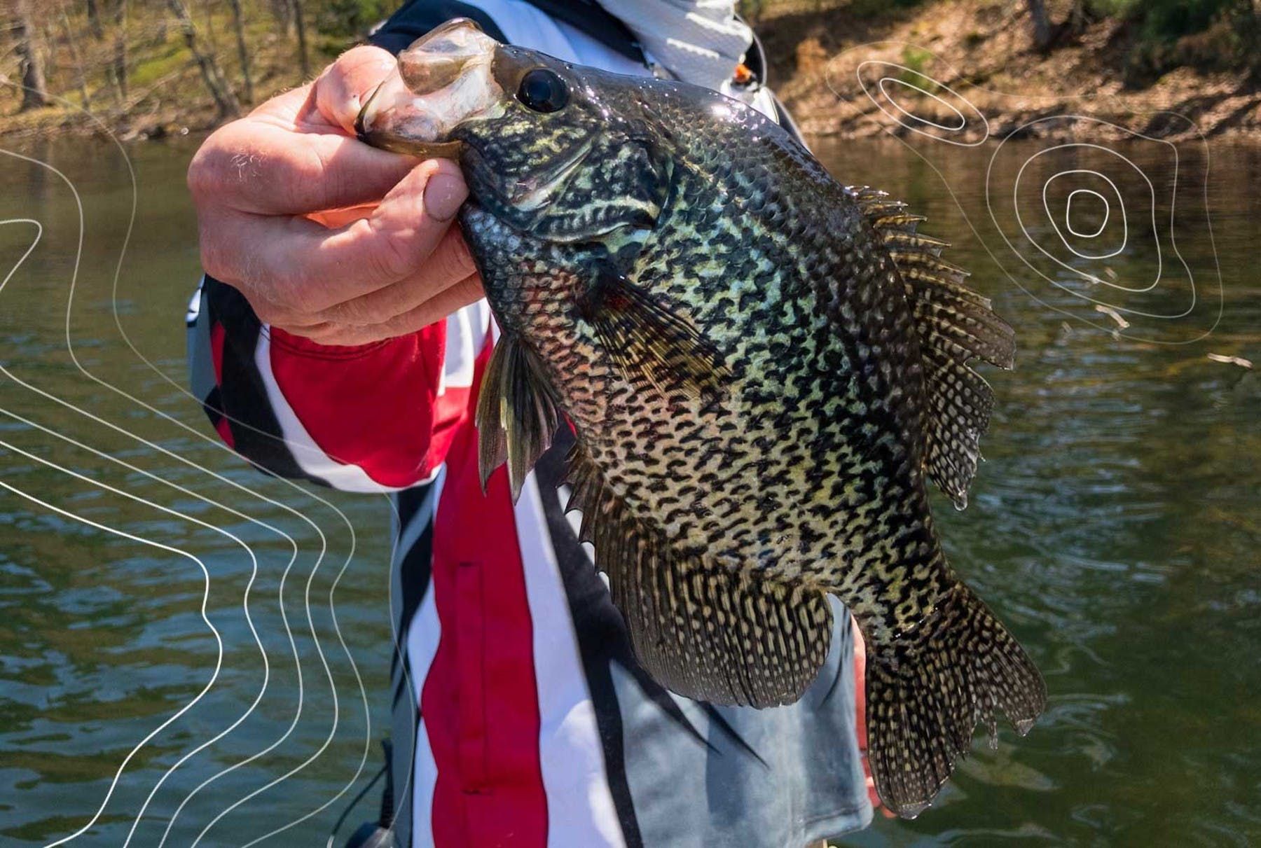 How To Catch CREEK CRAPPIE With JIG & BOBBER!! CRAPPIE Fishing 101