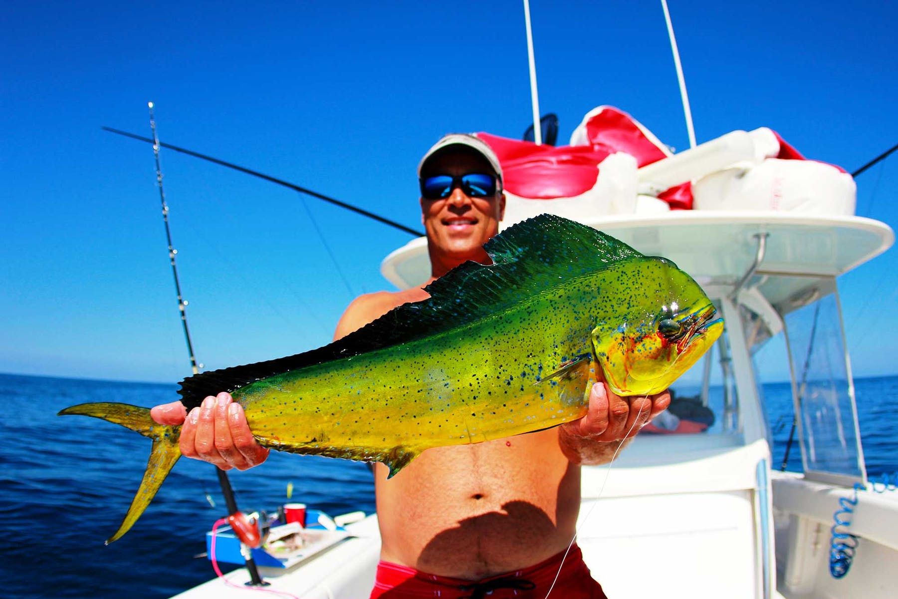 What is the best deep-sea fishing bait?