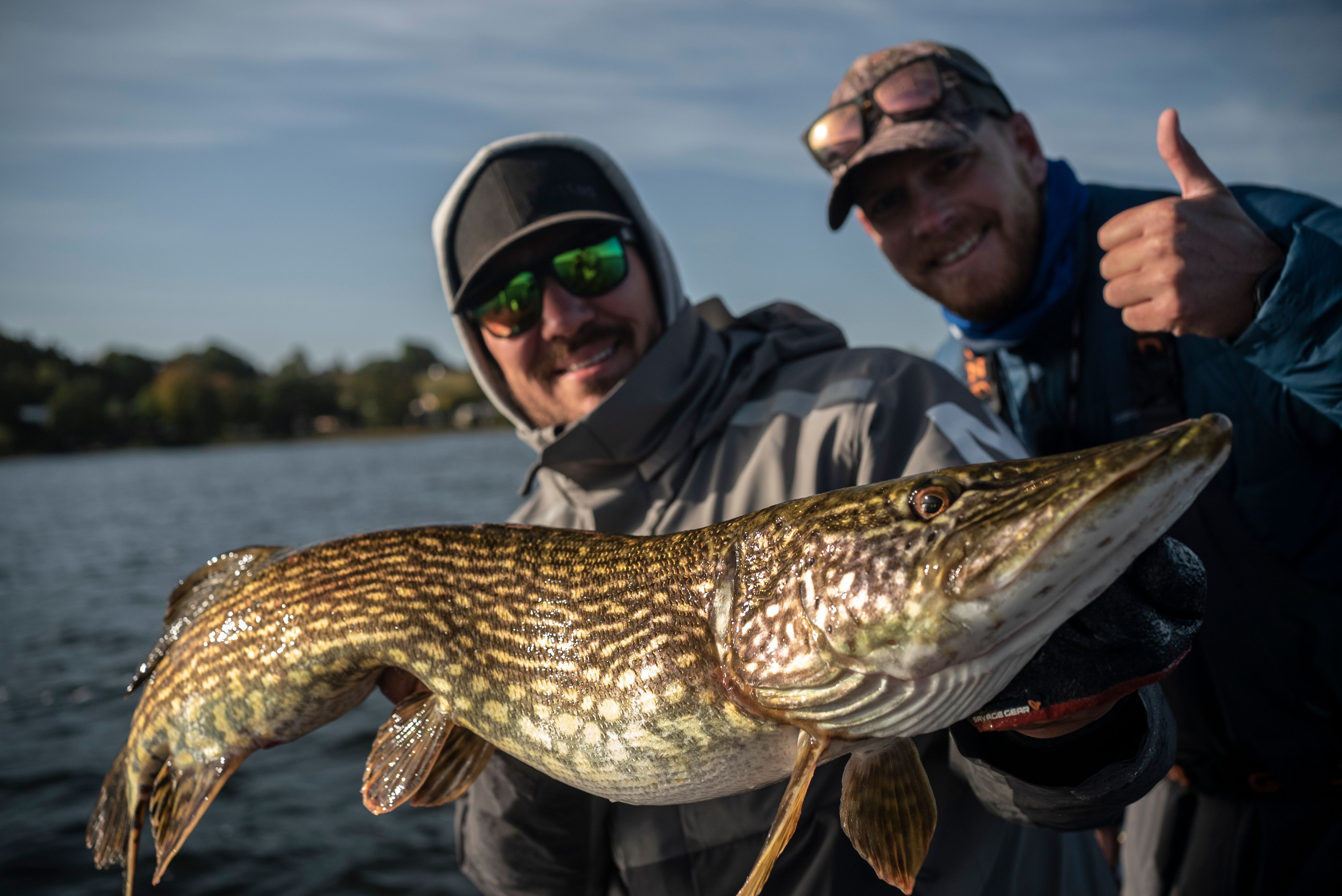 NORTHERN PIKE YEAR-END RALLY