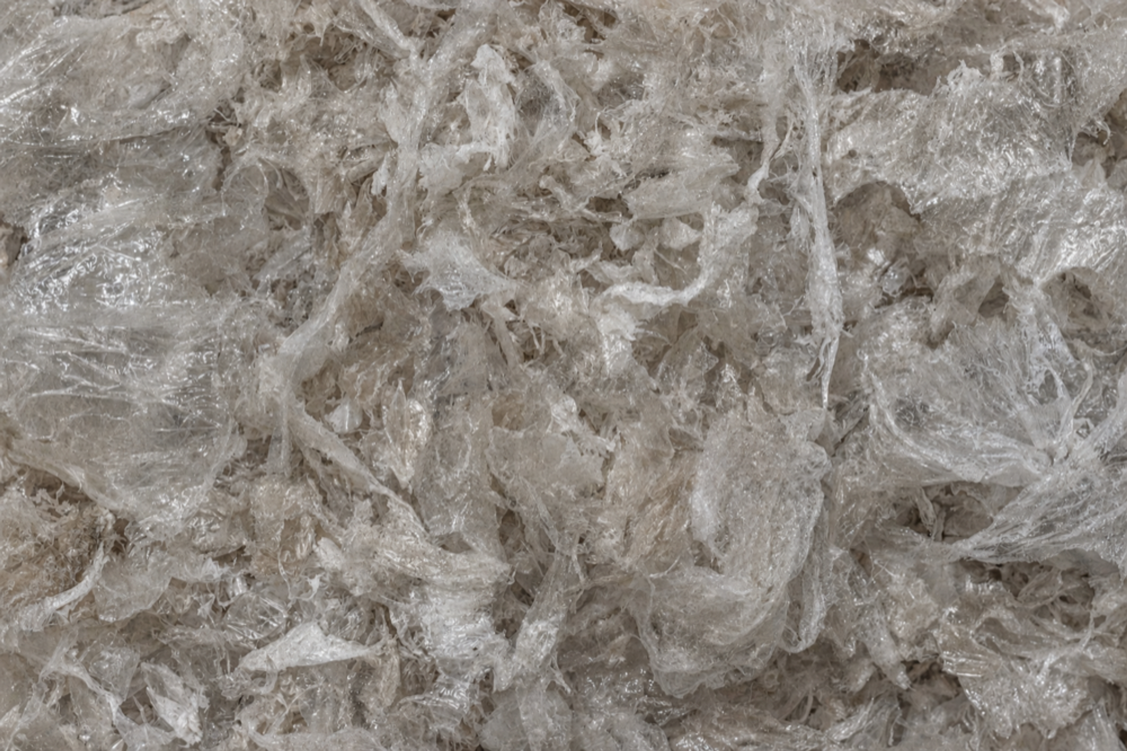 Clean, Dry Film Flakes
