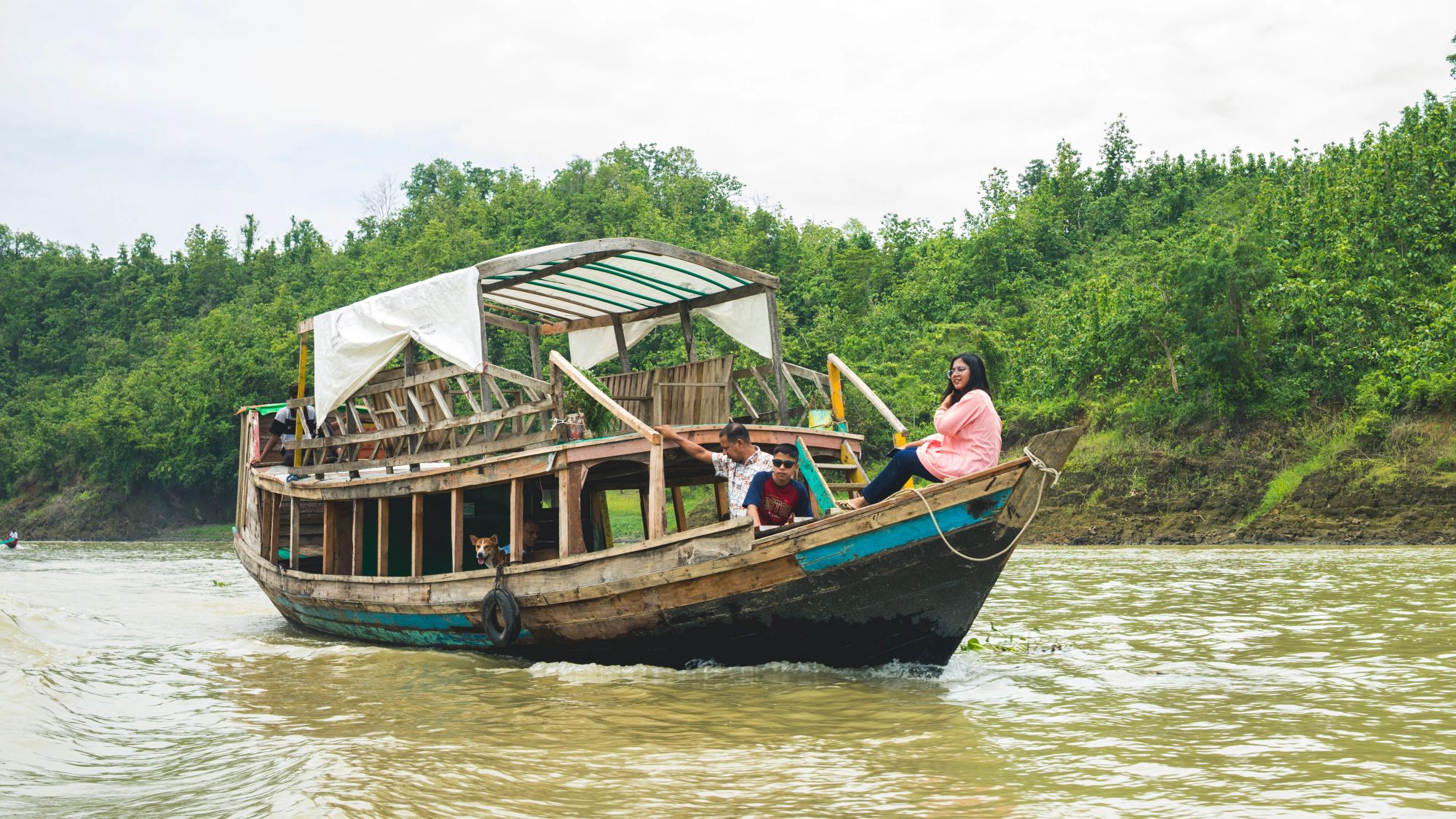 Mangrove canopy of the Sundarbans