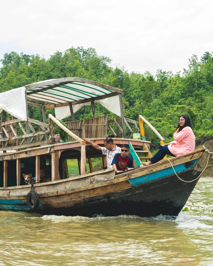 Mangrove canopy of the Sundarbans