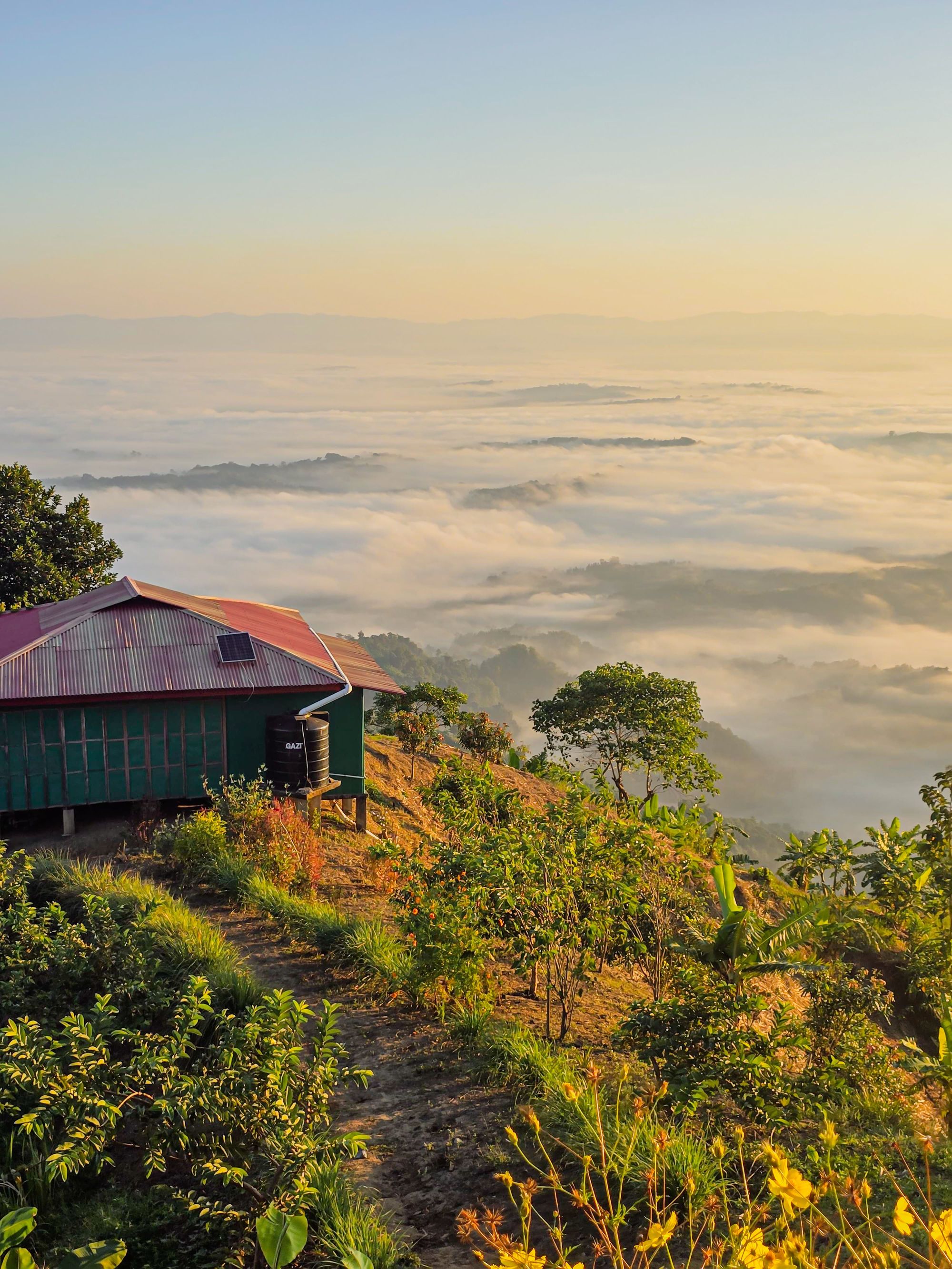 Mist between green hills