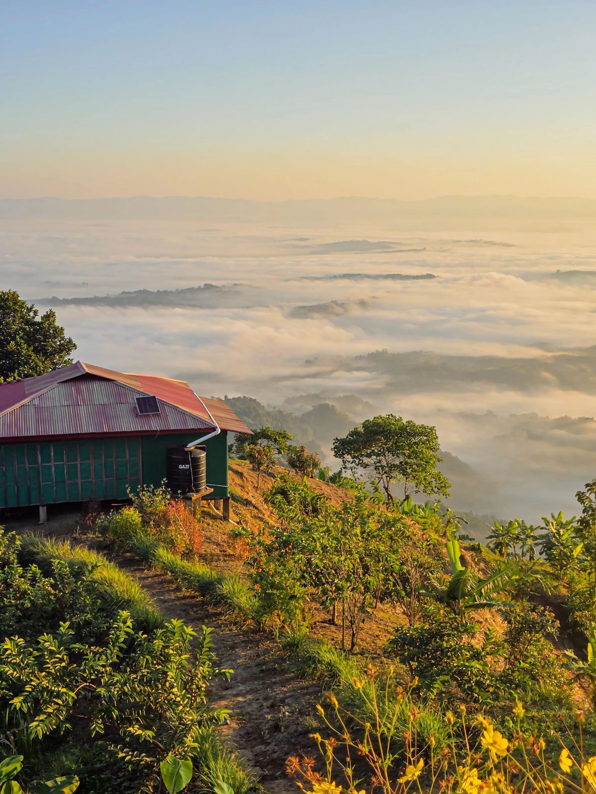 Green hills of Sajek and Khagrachari with clouds drifting through the valleys
