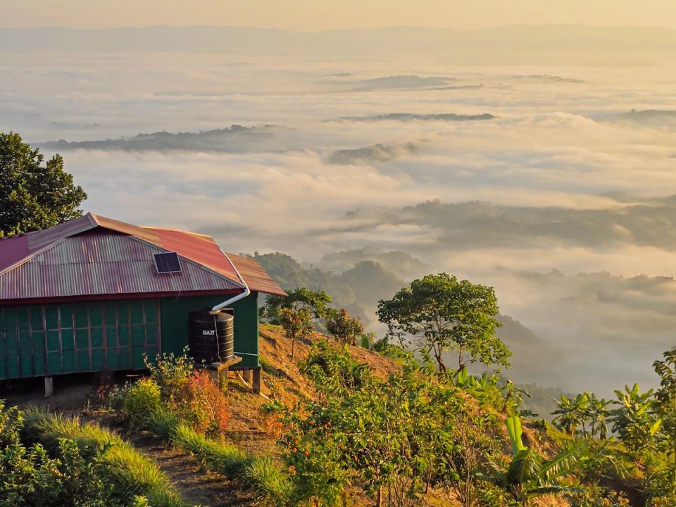 Mist between green hills