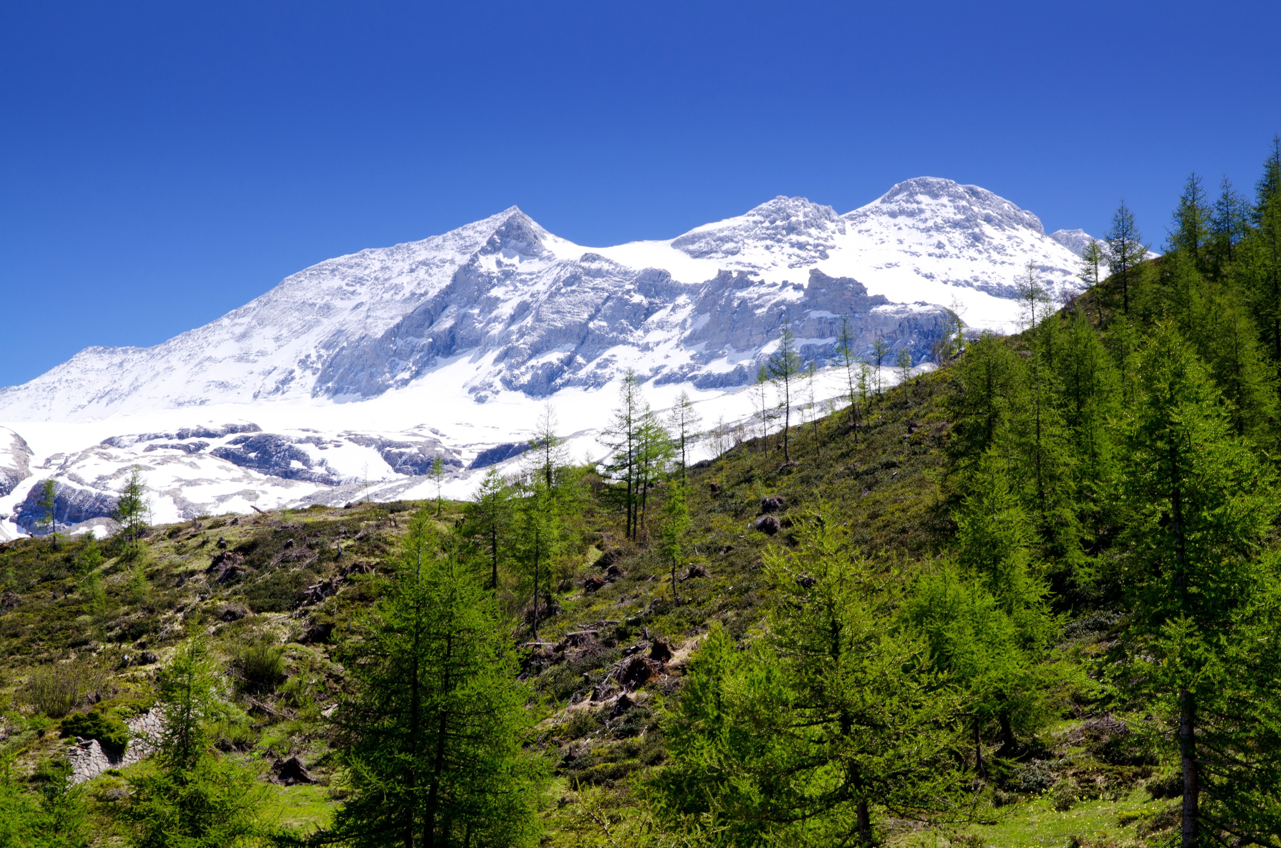 Snow peaks above a mountain valley in Sikkim
