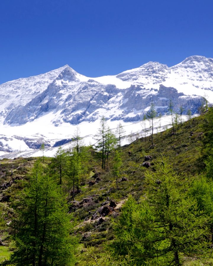 Snow peaks above a mountain valley in Sikkim