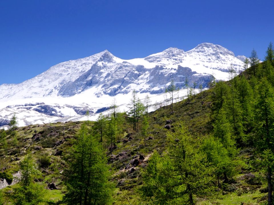 Snow peaks above a mountain valley in Sikkim