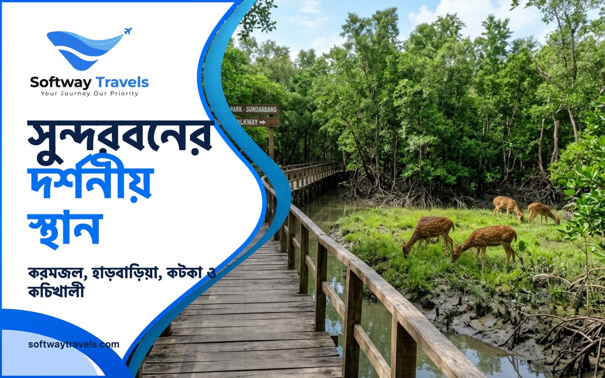 Wooden boardwalk path through lush green mangrove canopy in the Sundarbans