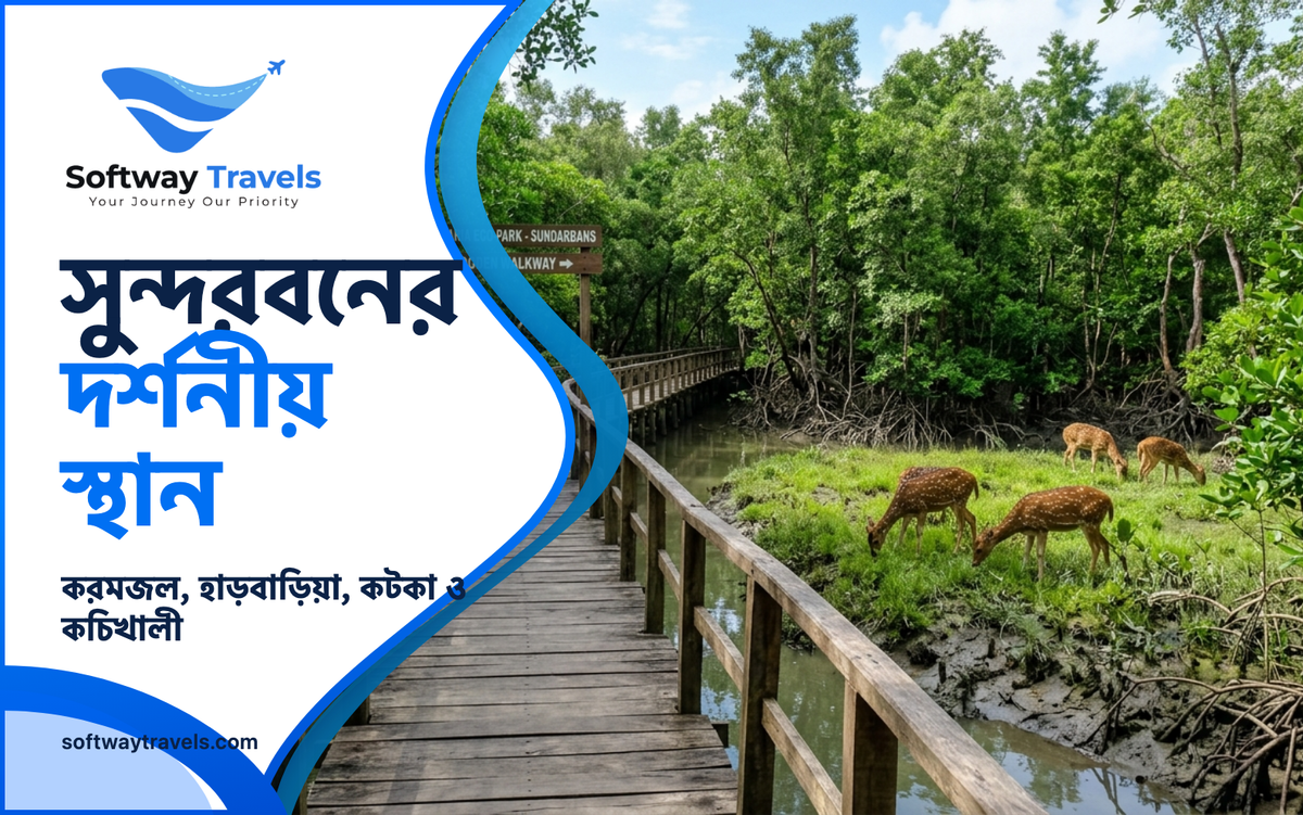 Wooden boardwalk path through lush green mangrove canopy in the Sundarbans
