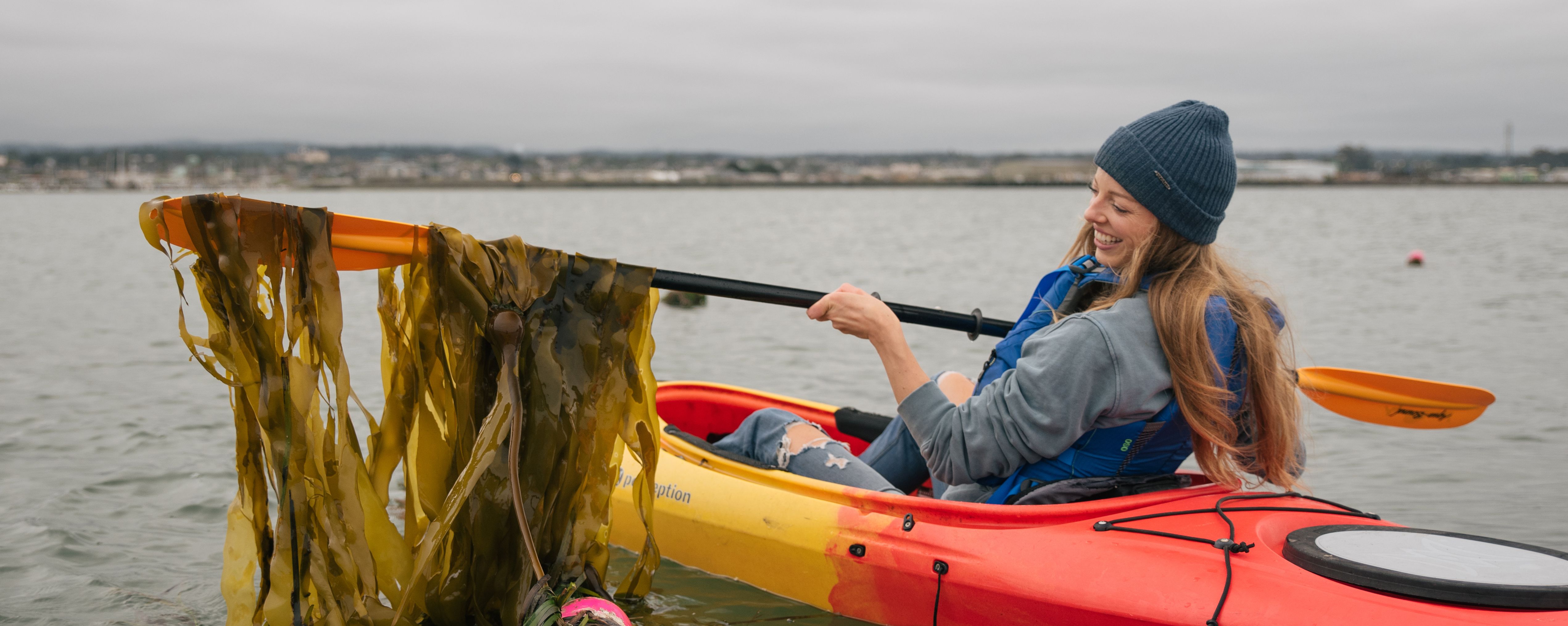 How Sway is Turning Seaweed Into Plastic and Designing a More Sustainable Future