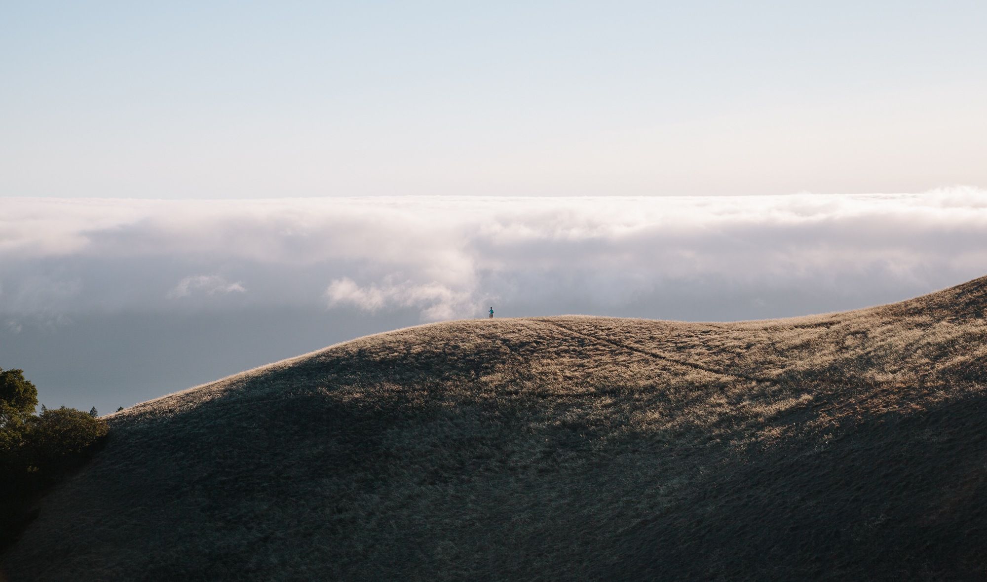 How to Use Photography in UI
