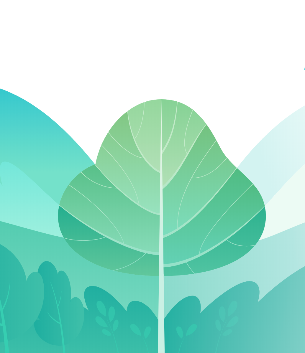 Level Up: A Framework for Growing High-Performing Design Teams